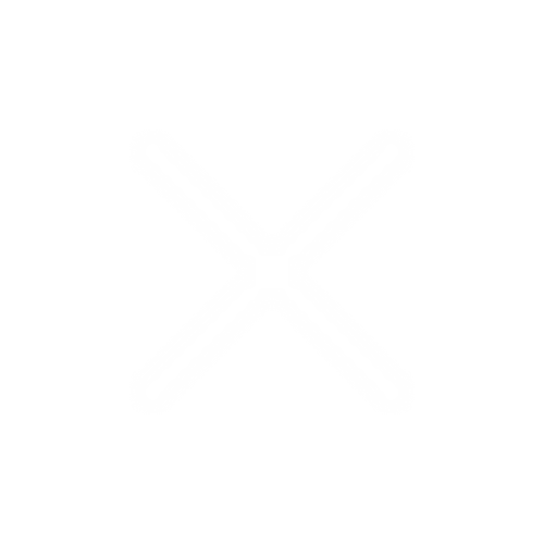 icon close