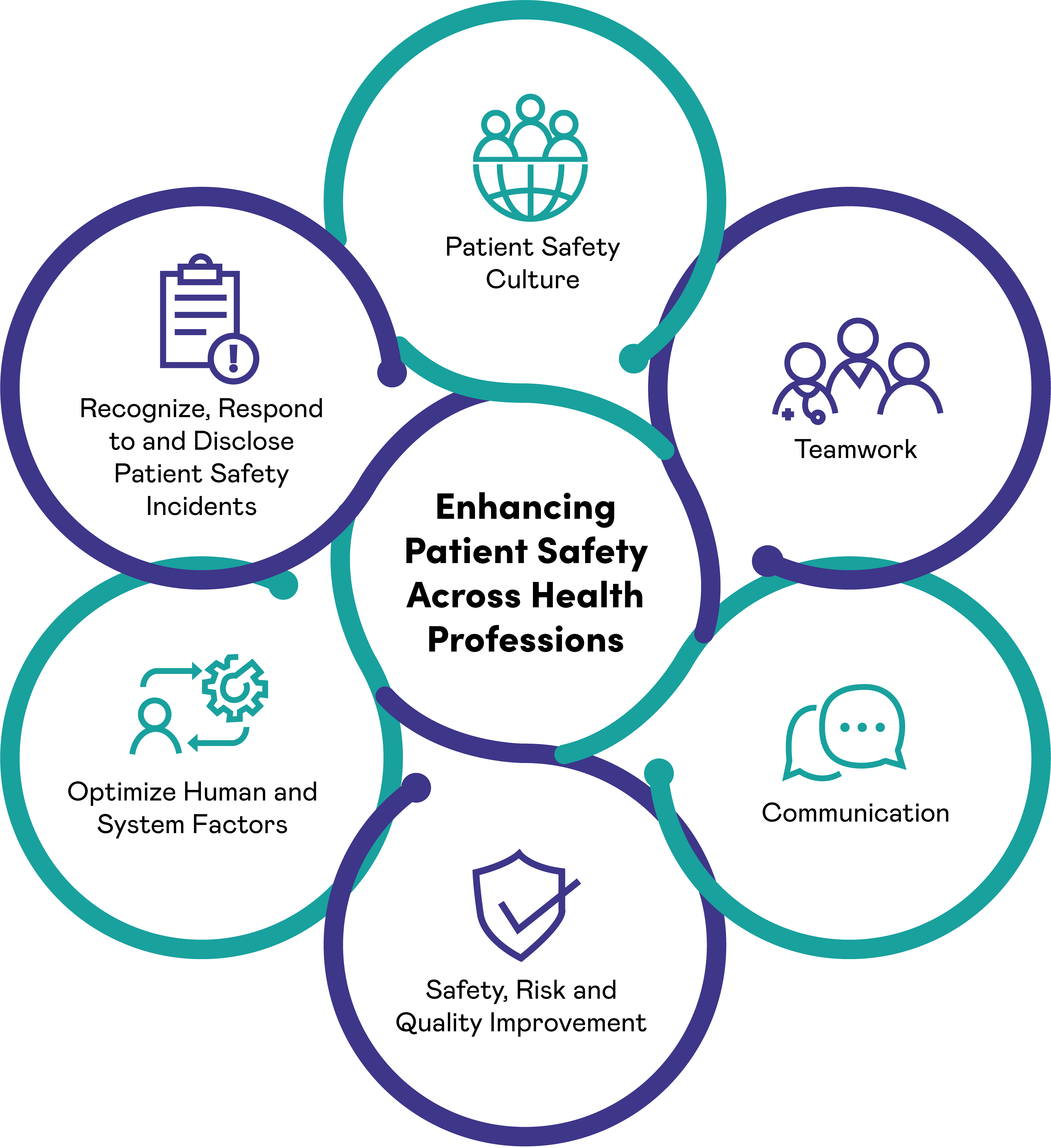 Safety Competencies Framework Domains as described below