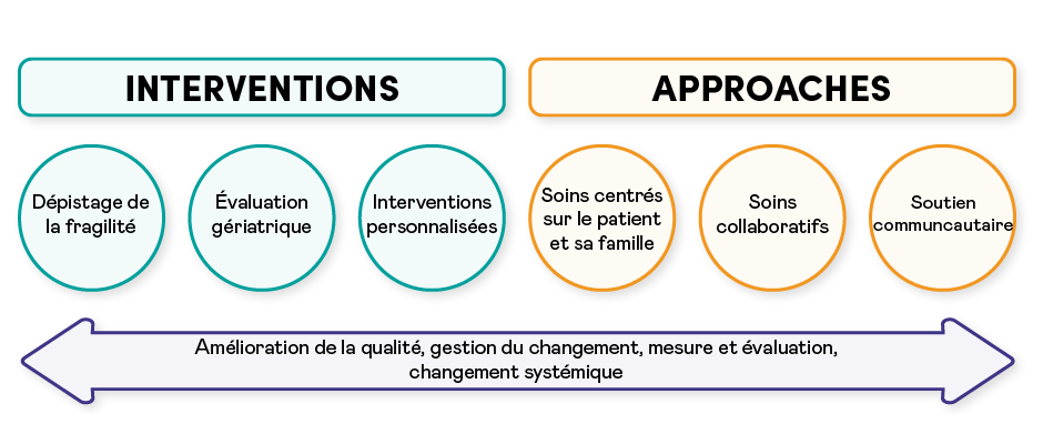 Infographie décrivant l'approche ASPFMC :  INTERVENTIONS : Dépistage de la fragilité, Évaluation gériatrique, Interventions personnalisées. APPROCHES : Soins centrés sur le patient et sa famille, Soins collaboratifs, Soutien communautaire. Dans une flèche sous les interventions et approches sont les mots suivants : Amélioration de la qualité, gestion du changement, mesure et évaluation, changement systémique.